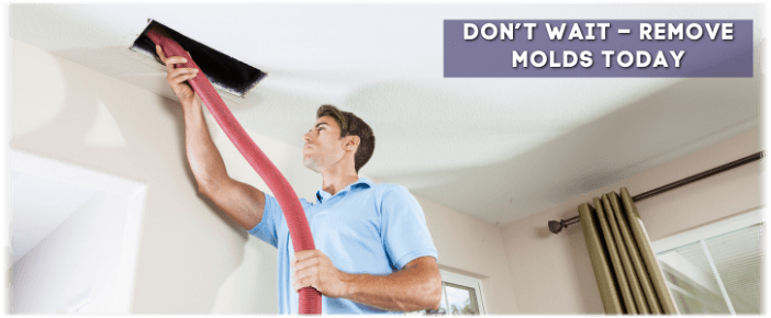 Air Duct Mold Removal in Midlothian TX